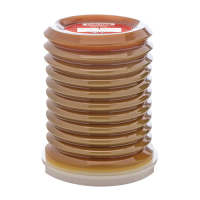 perma ULTRA LC 750  mit perma Extreme pressure grease SF02