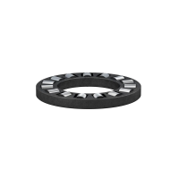 SKF-Axial-Zylinderrollenkranz