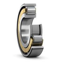 SKF-Einreihiges Zylinderrollenlager, Ausf&amp;#252;hrung N