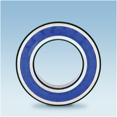 SKF-Inox-Rillenkugellager