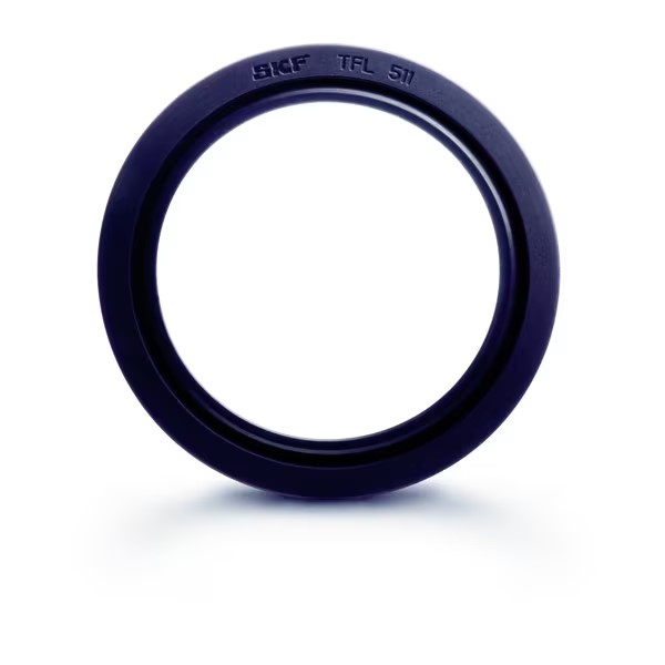SKF-Zweilippen-Dichtung