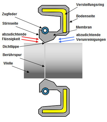 Radial-Wellendichtring mit Elastomer-Aussenmantel